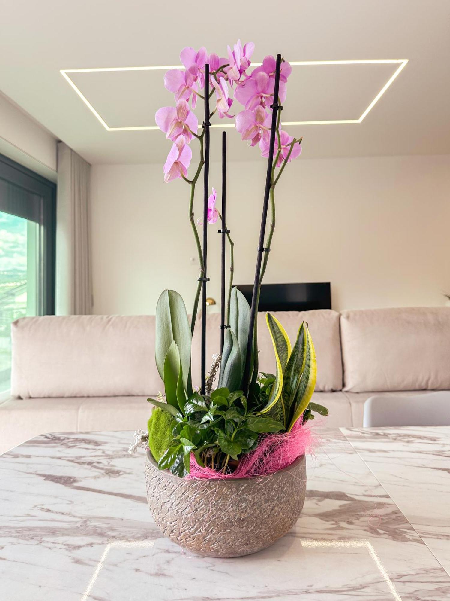 Flora Guest House Marco de Canavezes Buitenkant foto